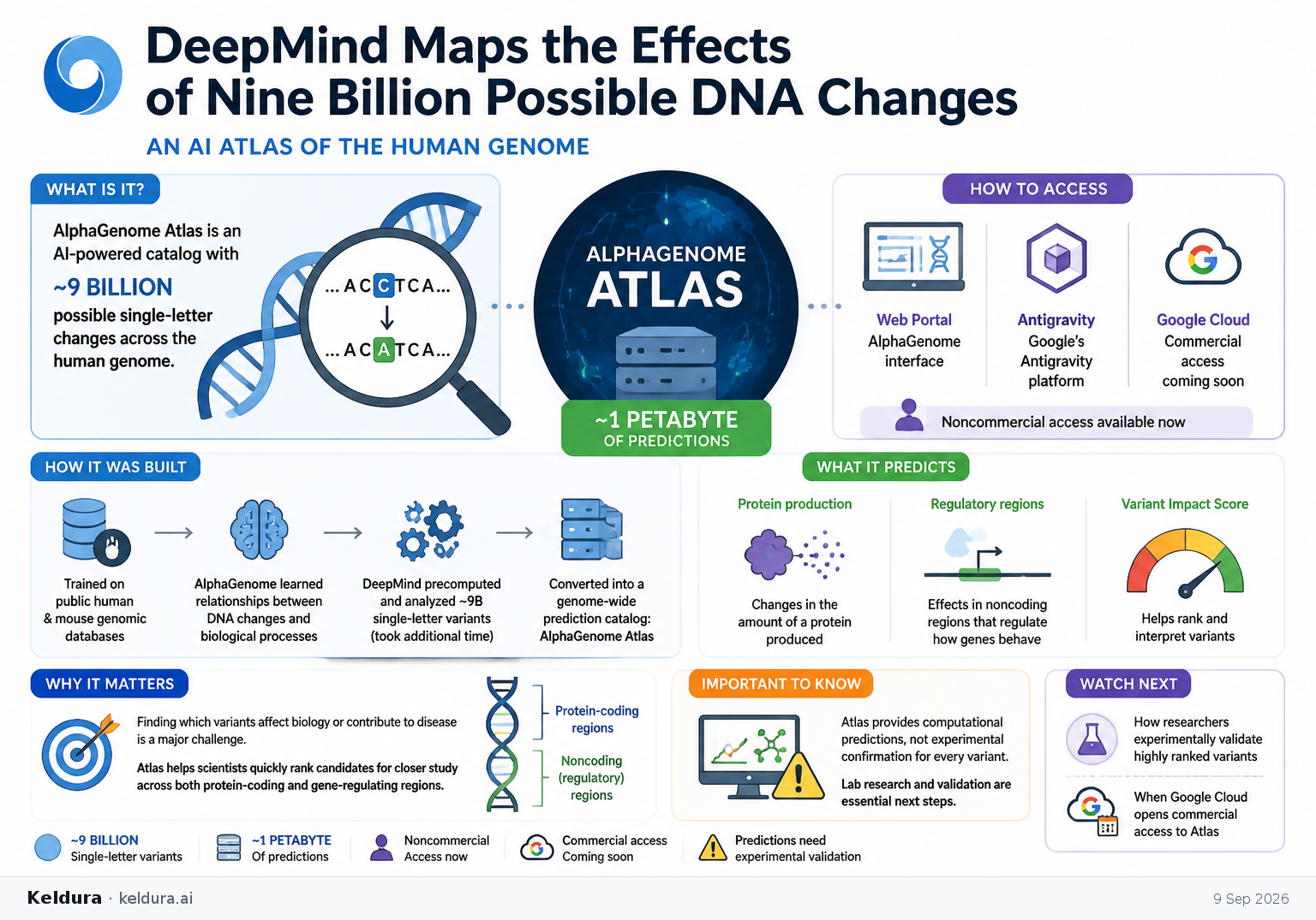 Cheatsheet for DeepMind Maps the Effects of Nine Billion Possible DNA Changes. Text equivalent is attached.