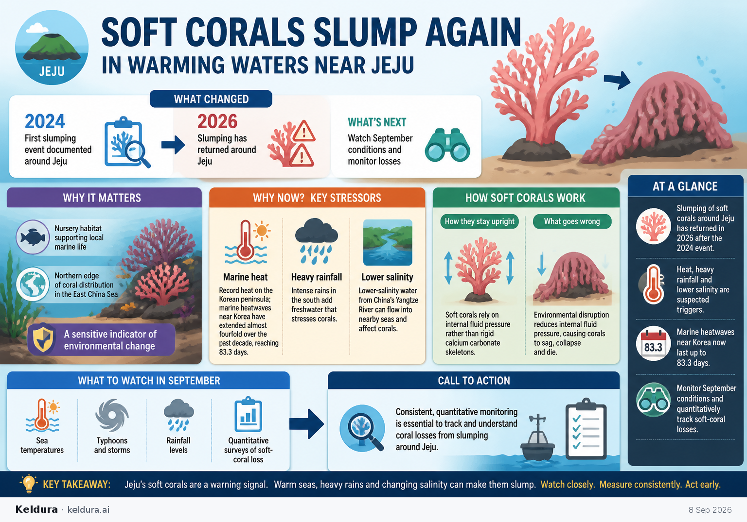 Cheatsheet for Soft corals slump again in warming waters near Jeju. Text equivalent is attached.