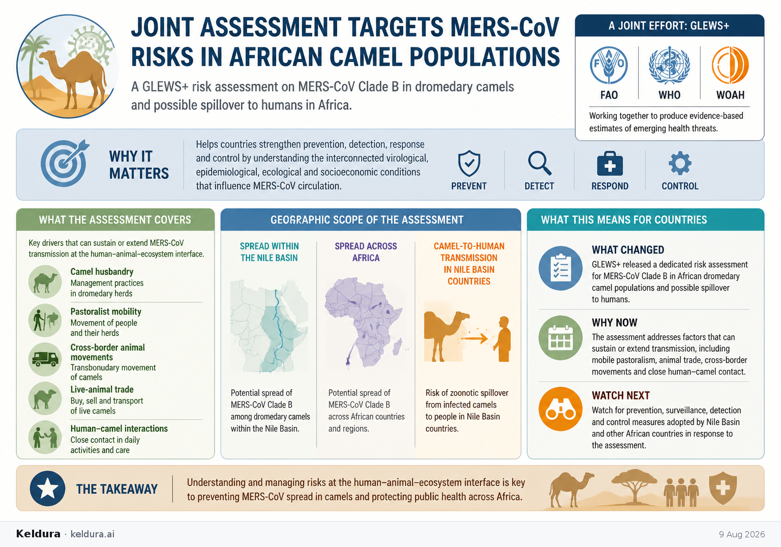 Visual Cheatsheet for Joint assessment targets MERS-CoV risks in African camel populations. Text equivalent follows.