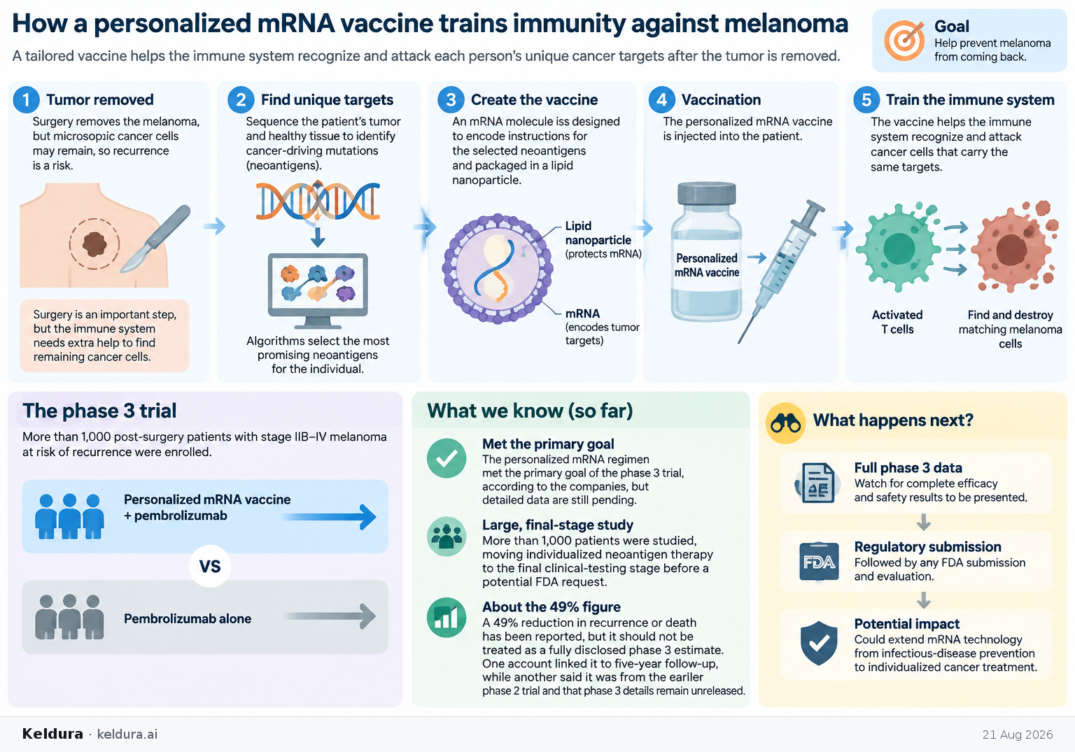 Cheatsheet for How a personalized mRNA vaccine trains immunity against melanoma. Text equivalent is attached.