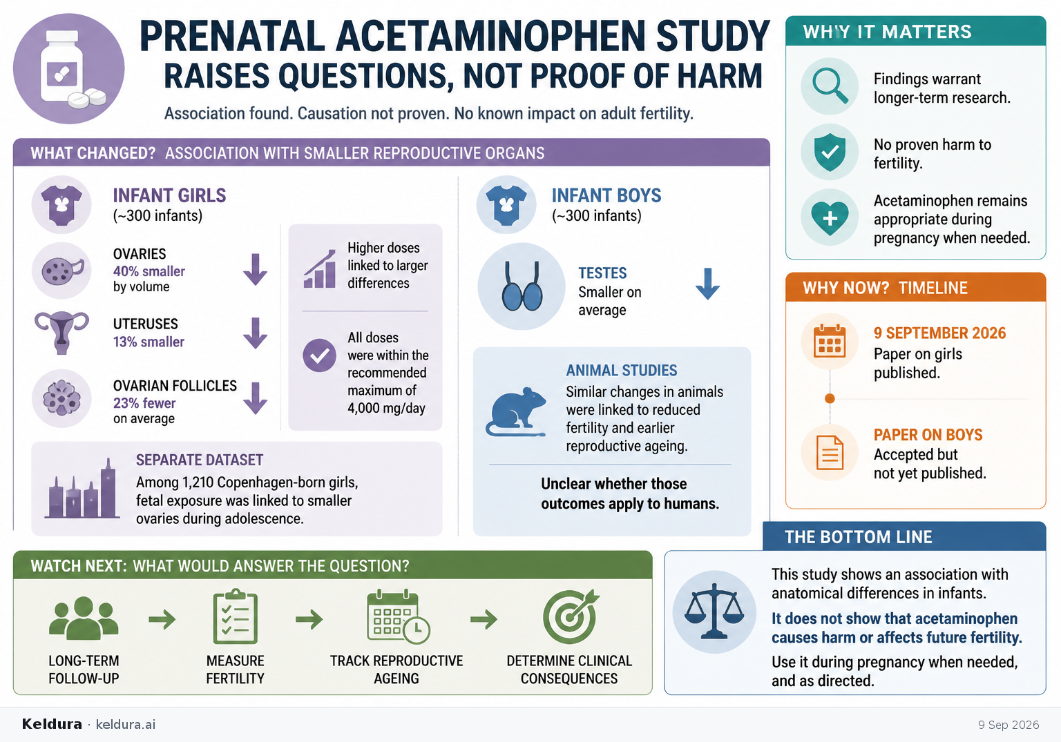 Cheatsheet for Prenatal acetaminophen study raises questions, not proof of harm. Text equivalent is attached.