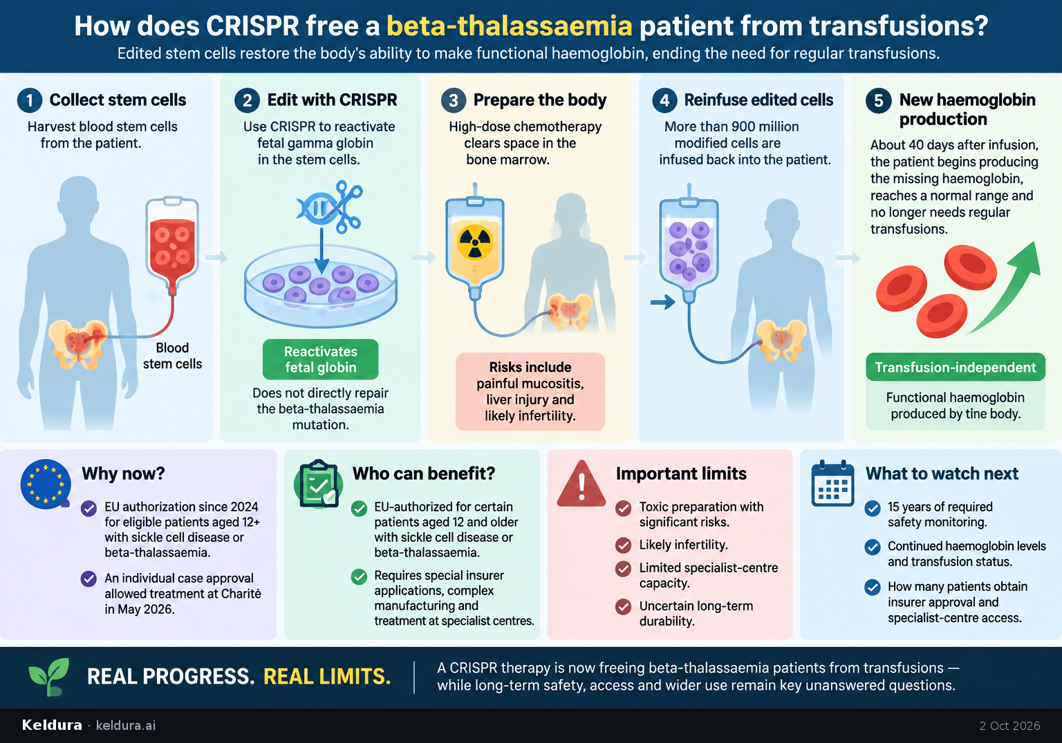 Cheatsheet for How does CRISPR free a beta-thalassaemia patient from transfusions?. Text equivalent is attached.